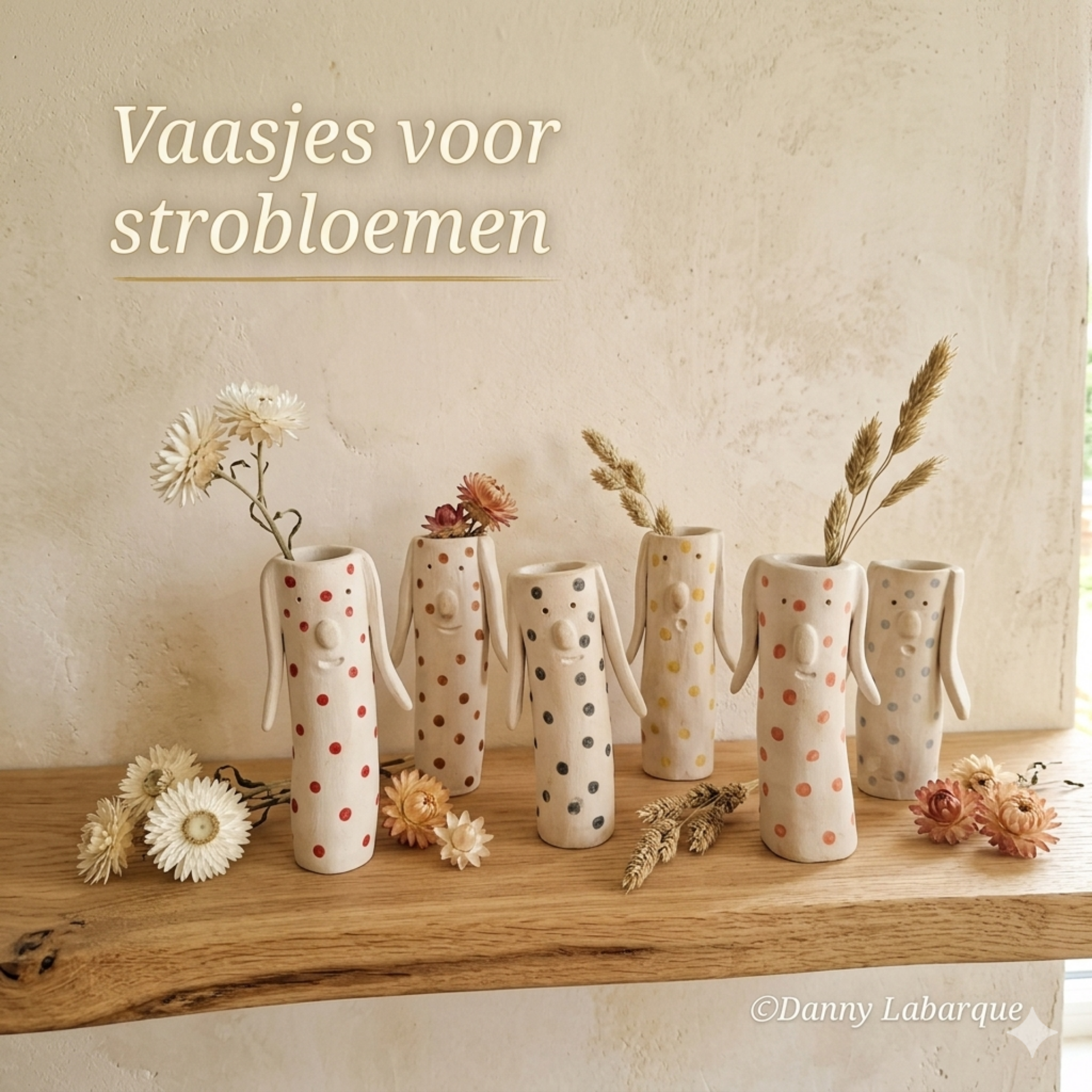 Ref. 0205 Vaasjes