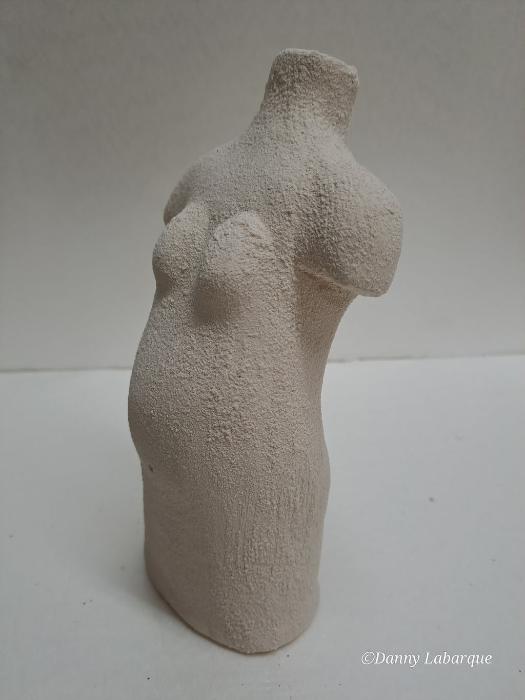 Ref. 0013 De zwangere vrouw