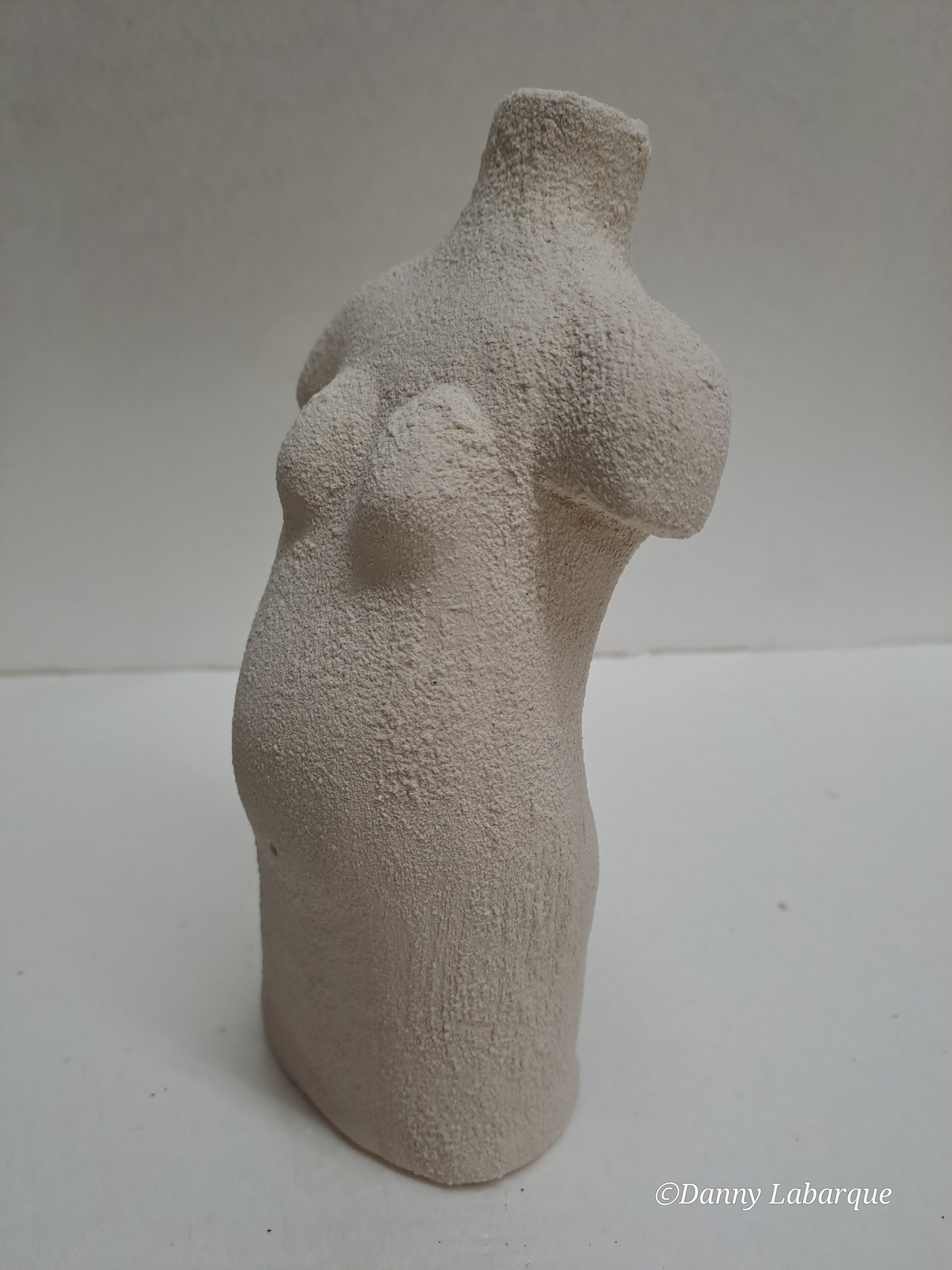 Ref. 0013 De zwangere vrouw