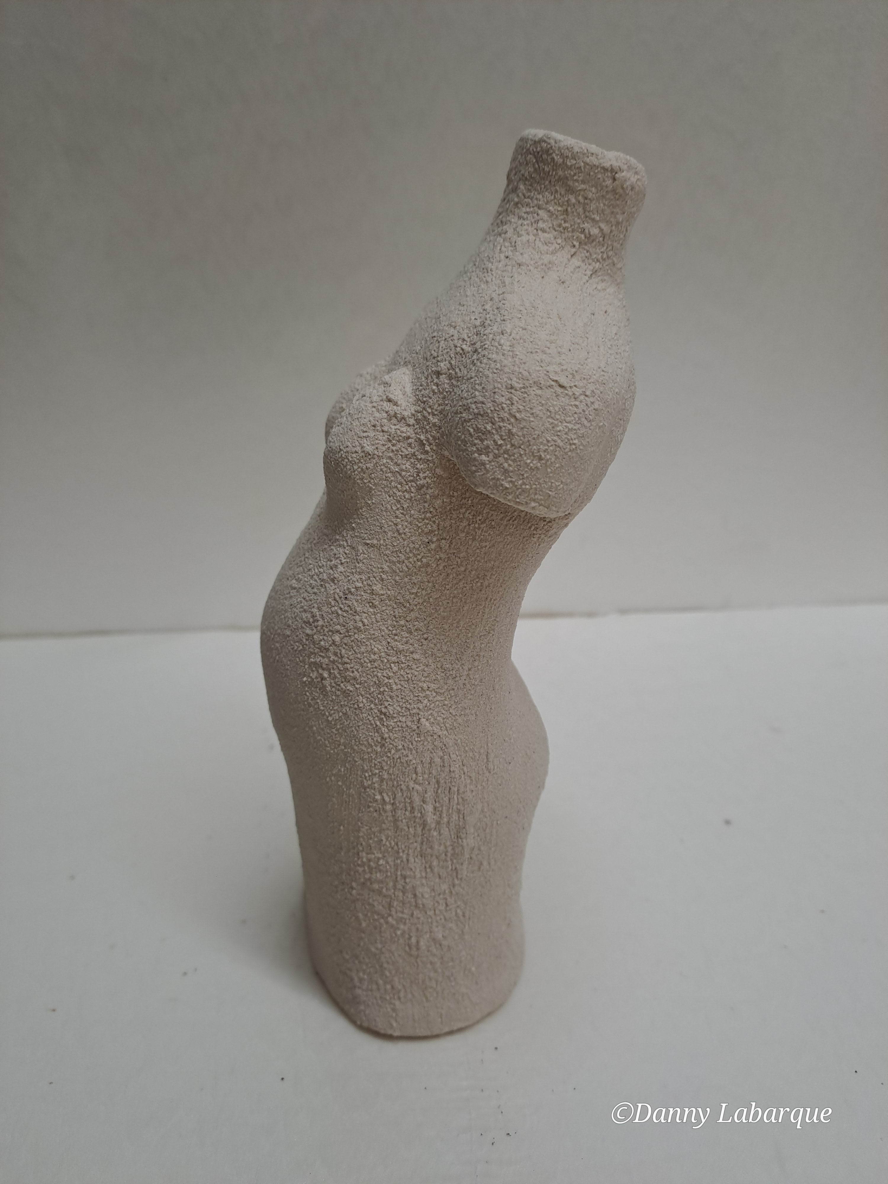 Ref. 0013 De zwangere vrouw